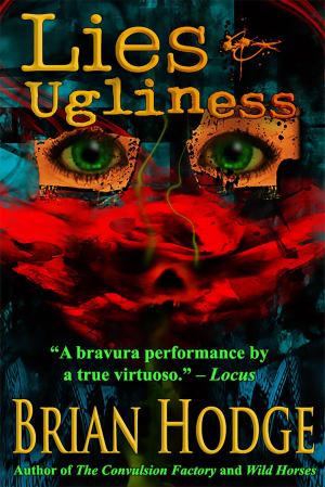 Cover of the book Lies & Ugliness by Jeffrey Lynn Stoddard