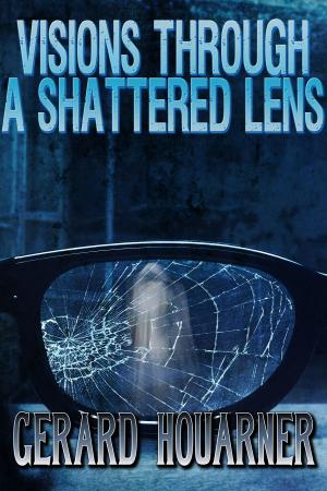 Cover of Visions Through a Shattered Lens