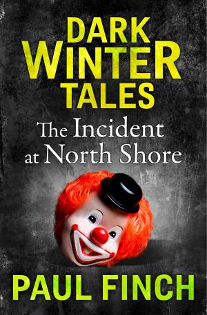 Cover of the book The Incident at North Shore (Dark Winter Tales) by Faith Martin
