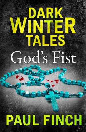 Cover of the book God’s Fist (Dark Winter Tales) by Michael Tanner
