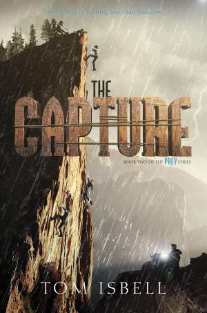 Cover of the book The Capture by Kristen Ciccarelli