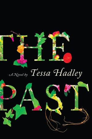 Cover of the book The Past by Erika Johansen