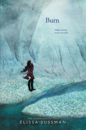 Cover of the book Burn by Lauren Kunze, Rina Onur