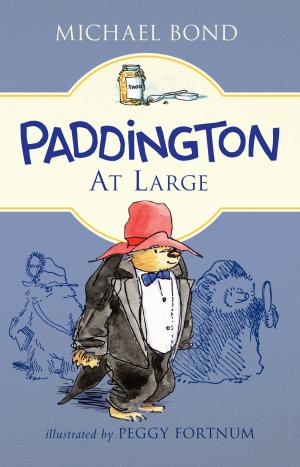 Cover of the book Paddington at Large by Kelley Armstrong