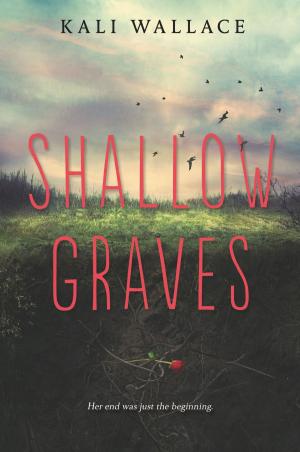 Cover of the book Shallow Graves by Gillian Shields