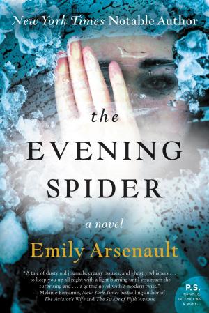 Cover of the book The Evening Spider by Sophie Hannah