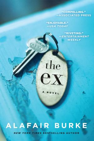 Cover of the book The Ex by Ron Lieber