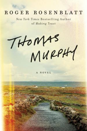 Cover of the book Thomas Murphy by David Van Reybrouck