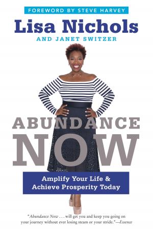 Cover of the book Abundance Now by Sammy Hagar