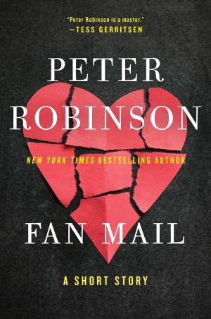 Cover of the book Fan Mail by Megan Erickson