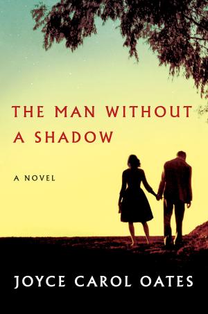 Cover of the book The Man Without a Shadow by Daniel Bergner