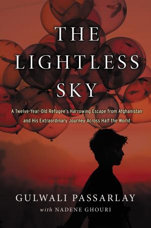 Cover of the book The Lightless Sky by John Selby