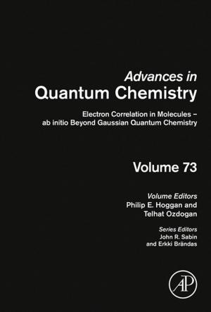 bigCover of the book Electron Correlation in Molecules – ab initio Beyond Gaussian Quantum Chemistry by 