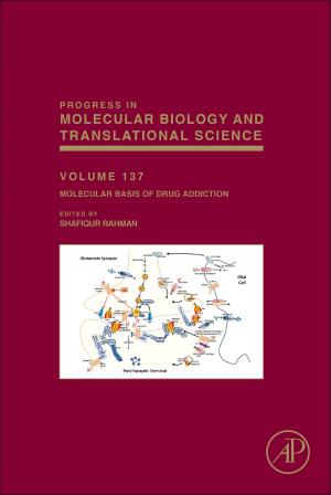 Cover of the book The Molecular Basis of Drug Addiction by Yamada Takumi