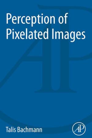 Cover of the book Perception of Pixelated Images by Geoff B. Barker