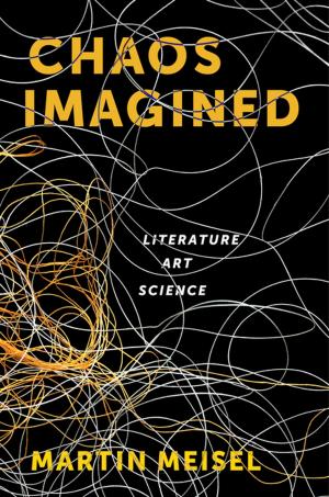 Cover of the book Chaos Imagined by Shoshana Ringel, Jerrold Brandell