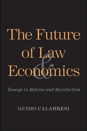 Cover of the book The Future of Law and Economics by Shmuel Feiner, Anthony Berris