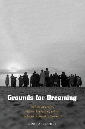 Cover of the book Grounds for Dreaming by Professor Moshe Idel