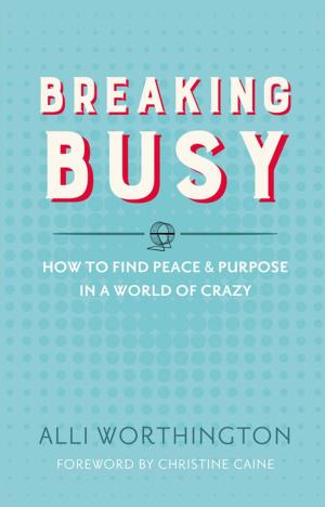 Book cover of Breaking Busy