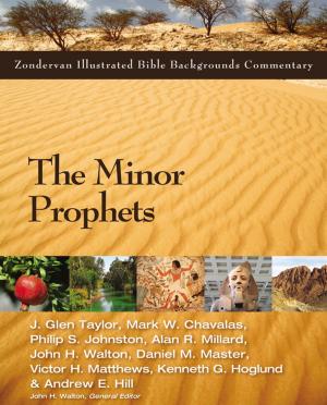Cover of the book The Minor Prophets by Ryan Hall