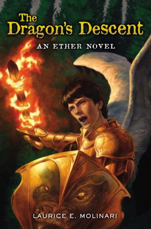 Cover of the book The Dragon's Descent by Kim Washburn