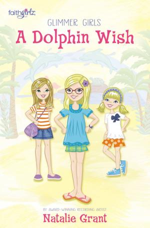 Cover of the book A Dolphin Wish by Denise Gaskins