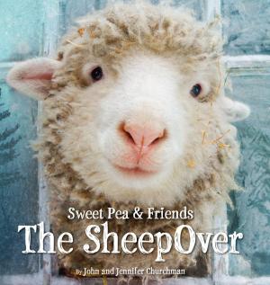 Cover of the book The SheepOver by Wendy Mass, Michael Brawer
