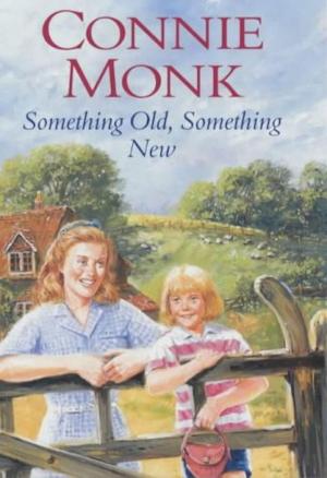 Book cover of Something Old Something New
