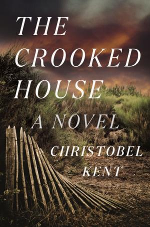 Cover of the book The Crooked House by Ben Lerner