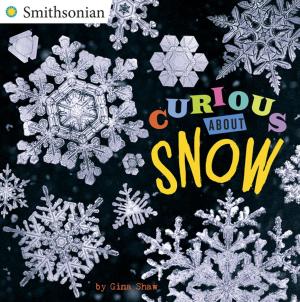 Cover of the book Curious About Snow by Brad Meltzer