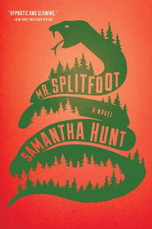 Cover of the book Mr. Splitfoot by Maria Gianferrari