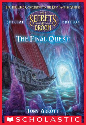 Book cover of Final Quest (The Secrets of Droon: Special Edition #8)