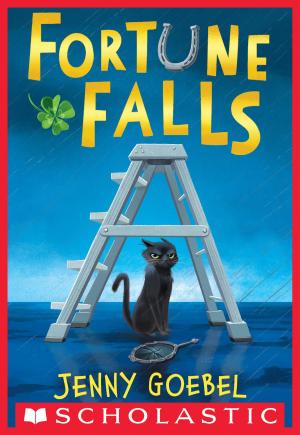 Cover of the book Fortune Falls by Geronimo Stilton