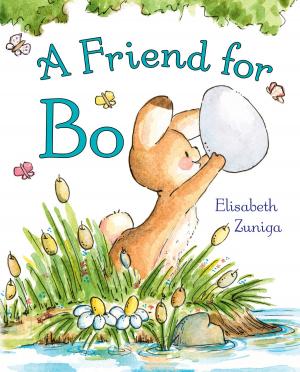 Cover of the book A Friend for Bo by Simon Grennan