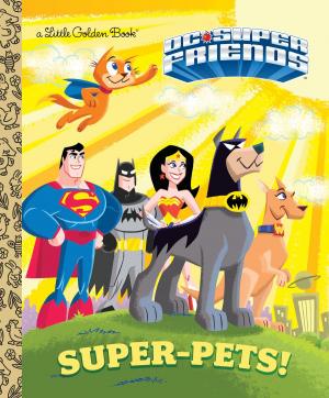 Cover of the book Super-Pets! (DC Super Friends) by RH Disney, Melissa Lagonegro