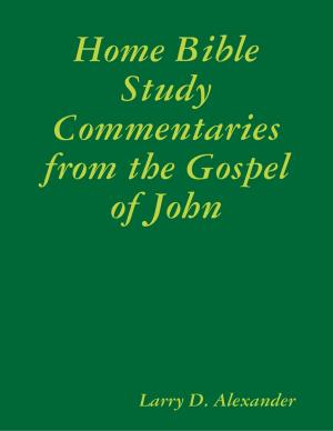 Book cover of Home Bible Study Commentaries from the Gospel of John