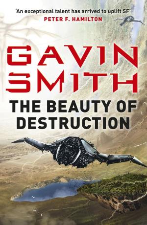 Book cover of The Beauty of Destruction