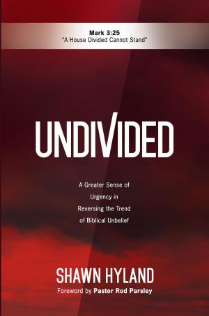 Cover of the book Undivided by Carol Rainbow