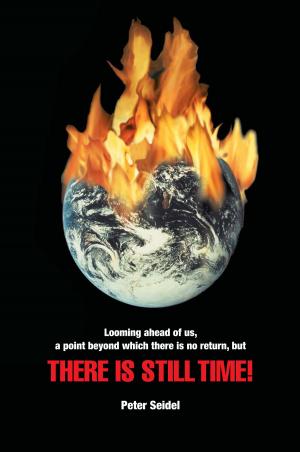 Cover of the book There Is Still Time! by John L Leonard