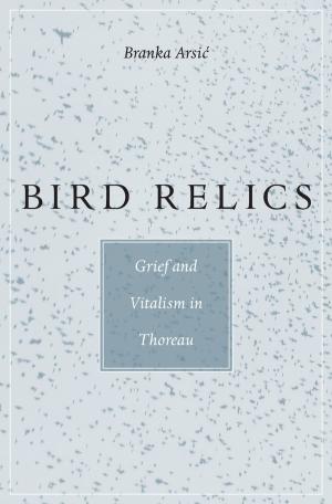 Cover of the book Bird Relics by Deborah A. Rosen