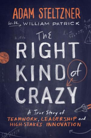 Cover of the book The Right Kind of Crazy by Lisa Hendrix
