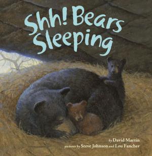 Cover of the book Shh! Bears Sleeping by David A. Adler
