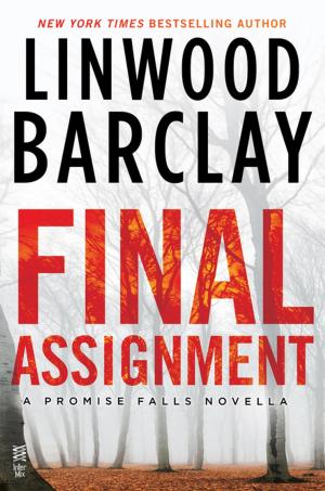 Cover of the book Final Assignment by kc dyer