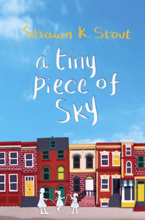Cover of the book A Tiny Piece of Sky by Jayne Harvey