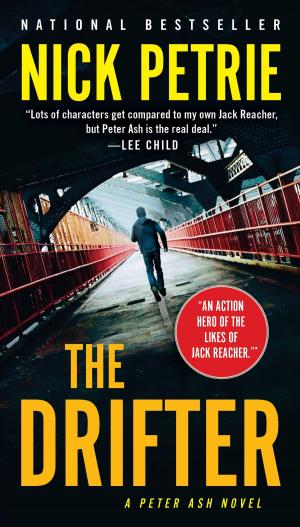 Cover of the book The Drifter by Daniel J. Siegel, MD, Marietta McCarty