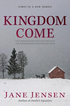 Book cover of Kingdom Come