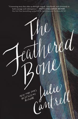 Cover of the book The Feathered Bone by Sheila Walsh