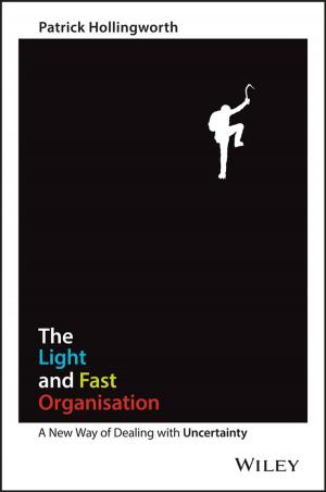 Cover of the book The Light and Fast Organisation by 
