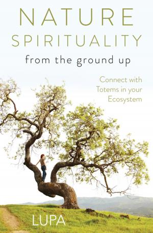 Cover of the book Nature Spirituality From the Ground Up by Mark McElroy