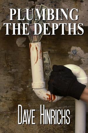 Cover of the book Plumbing the Depths by Betty Sullivan La Pierre